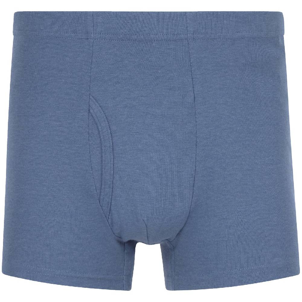 Jan Vanderstorm 5er Pack Retropants GARDAR blau Muttertagsangebot