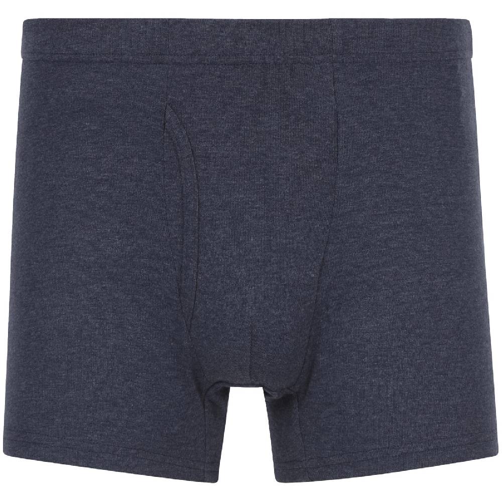 Jan Vanderstorm 5er Pack Retropants GARDAR blau Muttertagsangebot