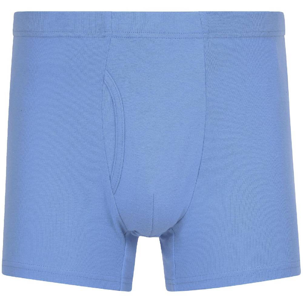 Jan Vanderstorm 5er Pack Retropants GARDAR blau Muttertagsangebot