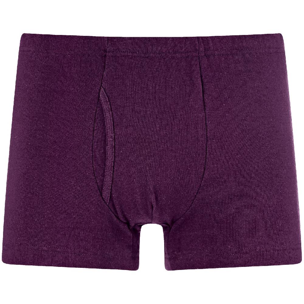 Jan Vanderstorm 5er Pack Retropants GARDAR bunt Saisonale Angebote