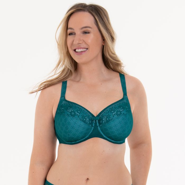 Rosa Faia ROSEMARY - Big Cup BH Super Sparpreis