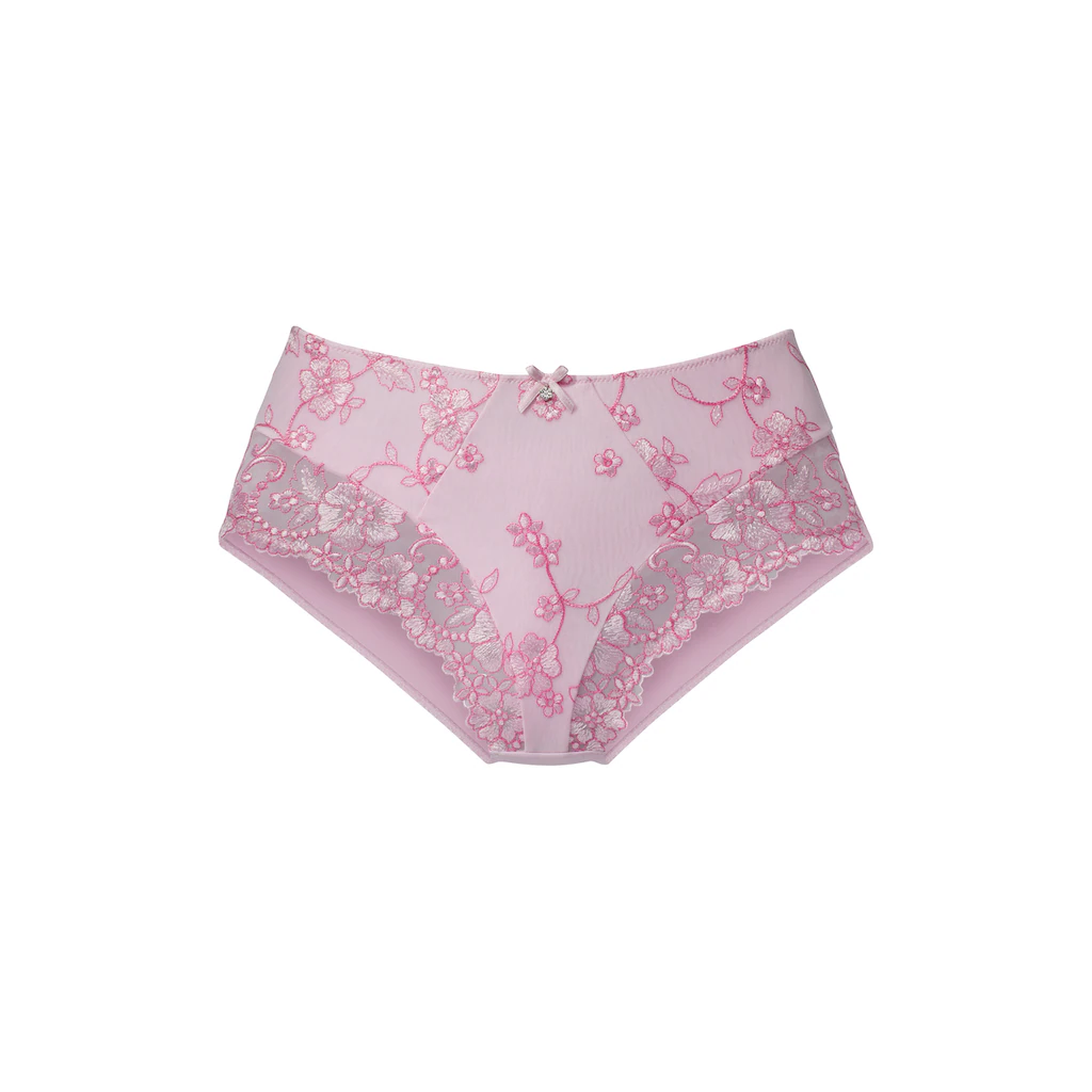 LASCANA Slip »Wanda« in abdeckender Schnittform und Stickerei Spitze ▷ für Fabrikpreis